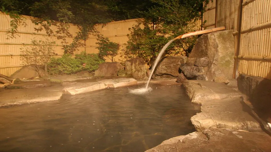 Shinshu Nakaoyama Onsen Shosenkaku