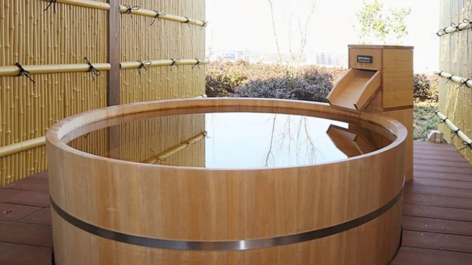 Tokyo Yugawara Onsen Manyo-no-Yu