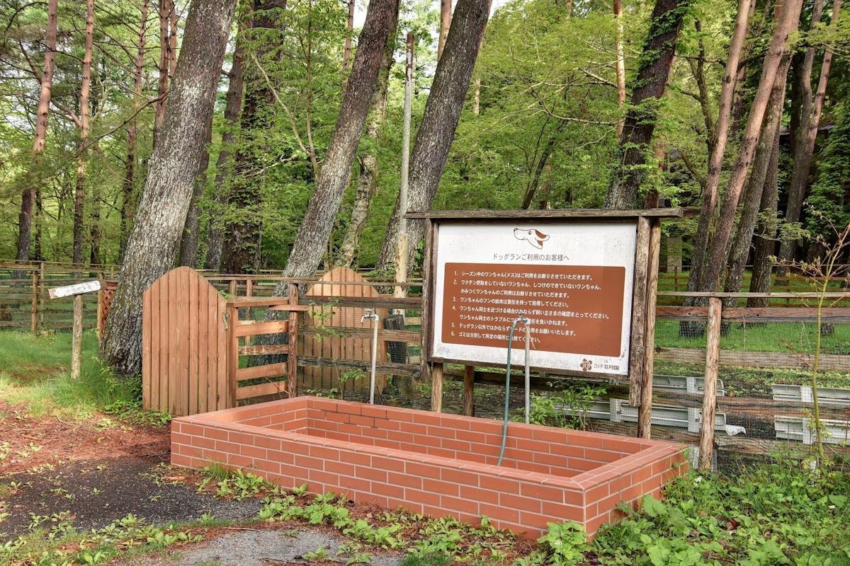 มีพื้นที่สำหรับสุนัขวิ่งเล่น