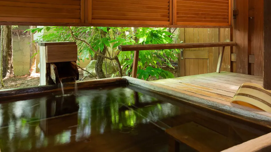 Asama Onsen Izumiso