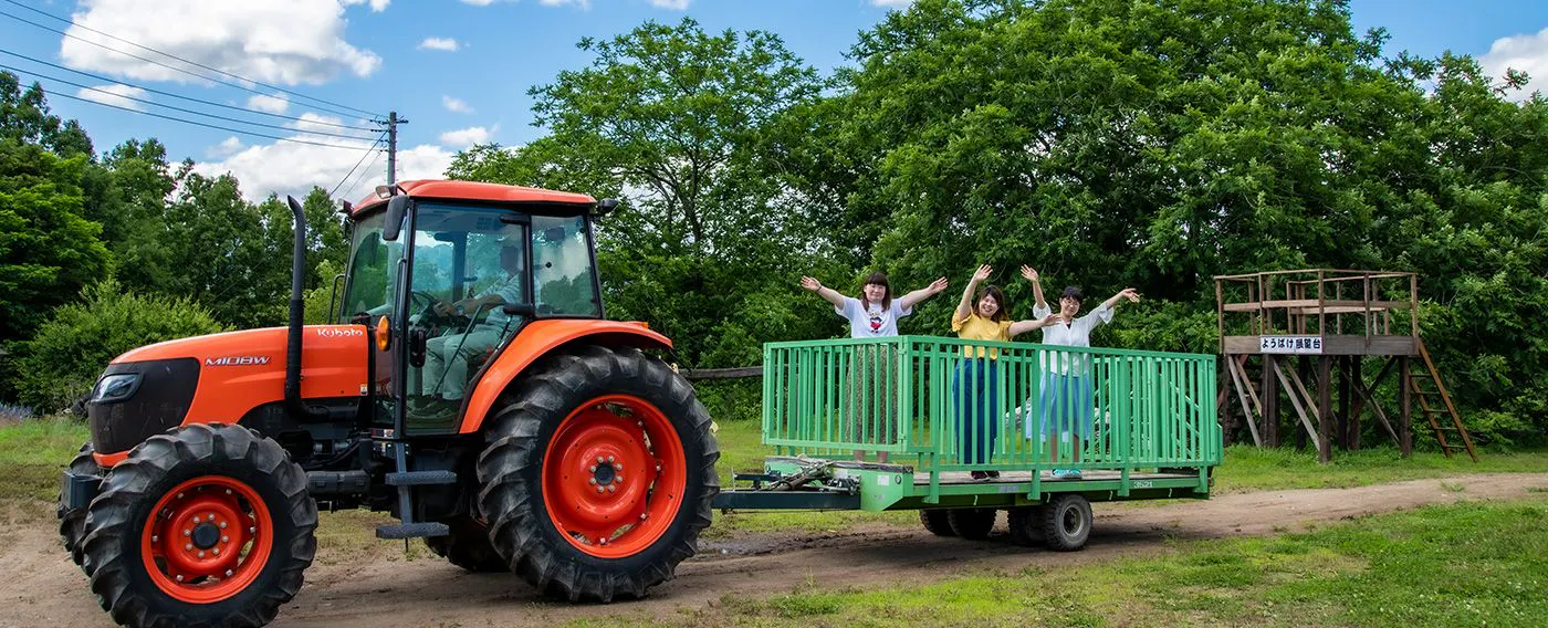 ประสบการณ์การเกษตร