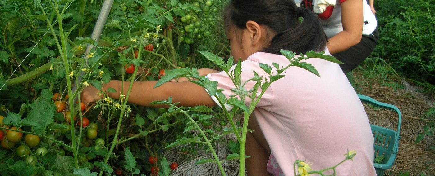 ประสบการณ์การเกษตร