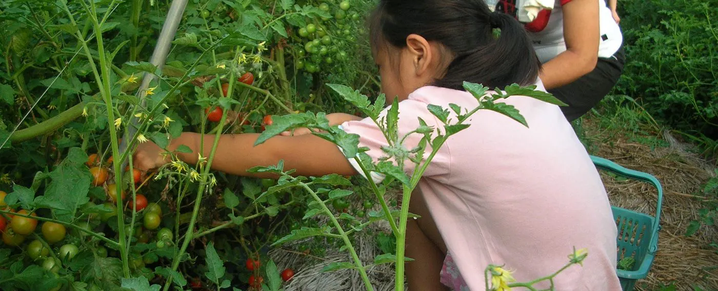 ประสบการณ์การเกษตร