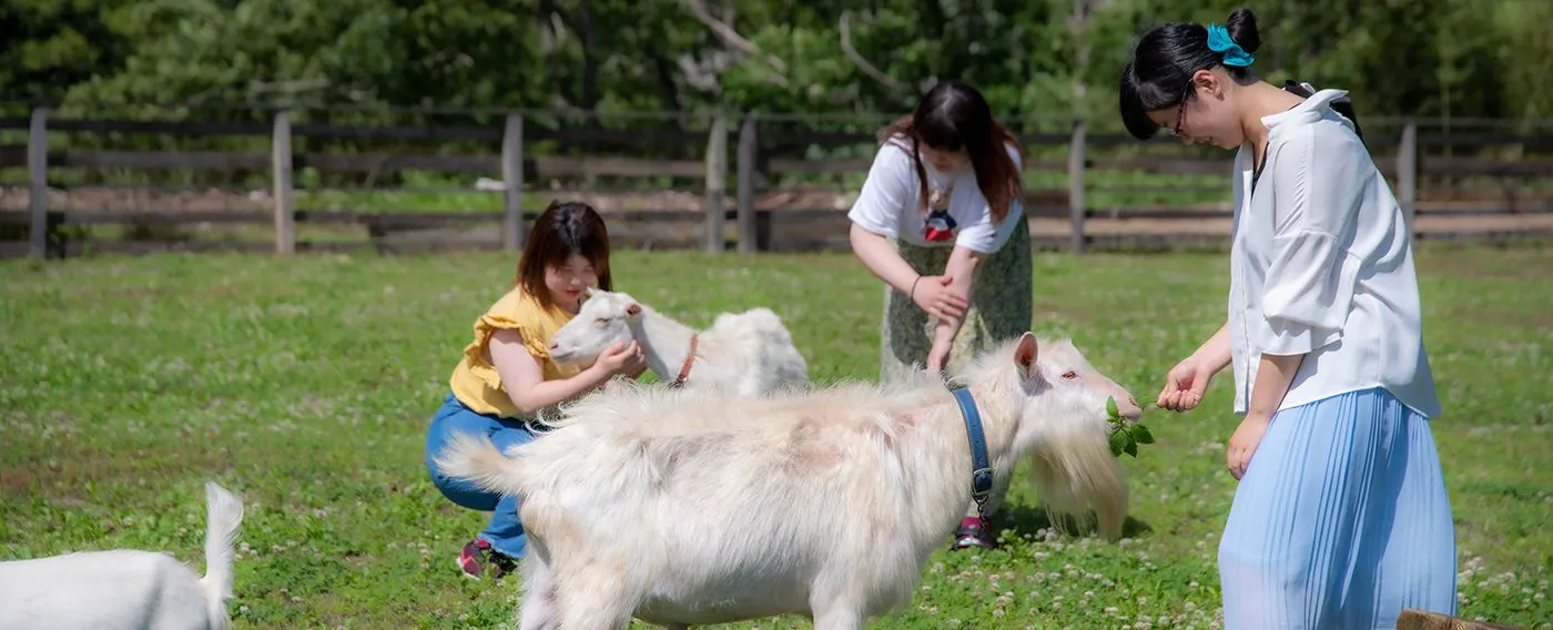 การสัมผัสกับสัตว์