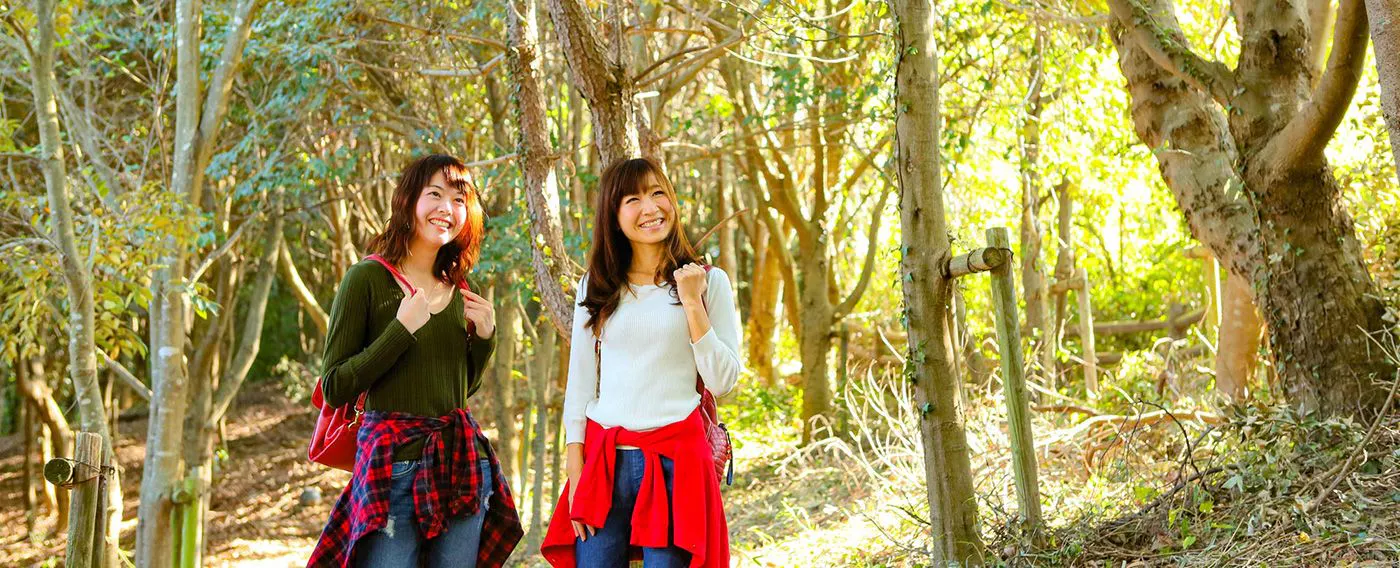 เส้นทางเดินเล่น