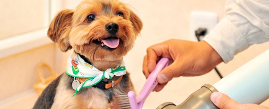 ภาพ a_tpc_tp2_220802.jpg.jpg