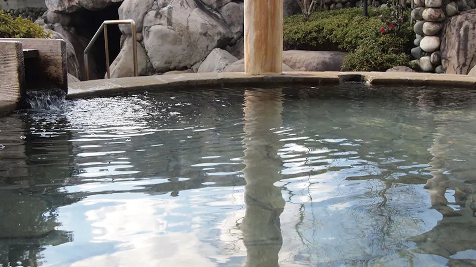 Natural Hot Spring Harunono-yu