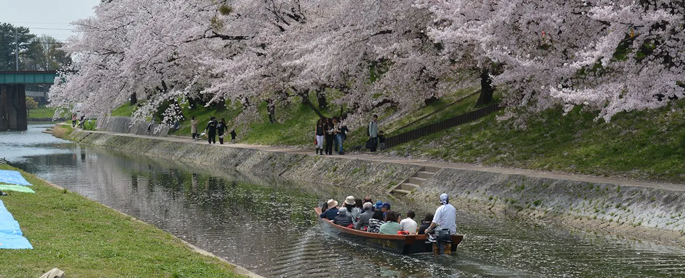 ธรรมชาติและฤดูกาลรอบๆ
