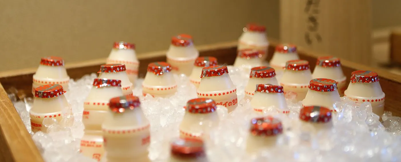 Minuman kultur bakteria asid laktik