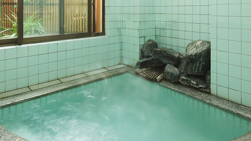 Tsuchiyu Onsen Gensen Yuan New Ougiya