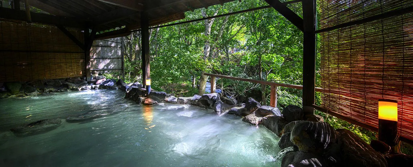 ป่าที่ให้ความผ่อนคลาย