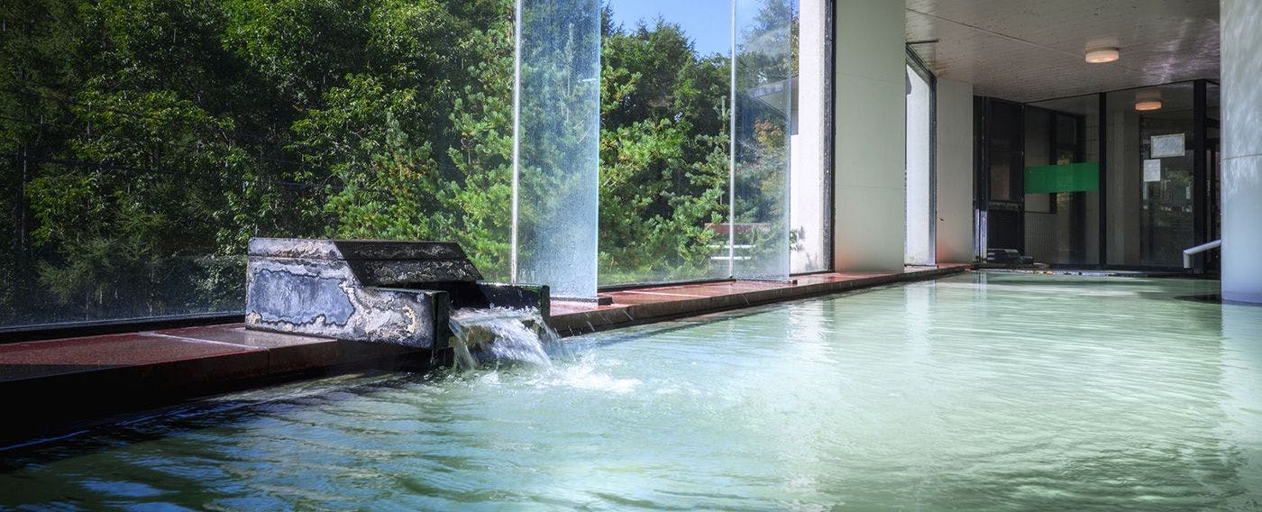 ป่าที่ให้ความผ่อนคลาย