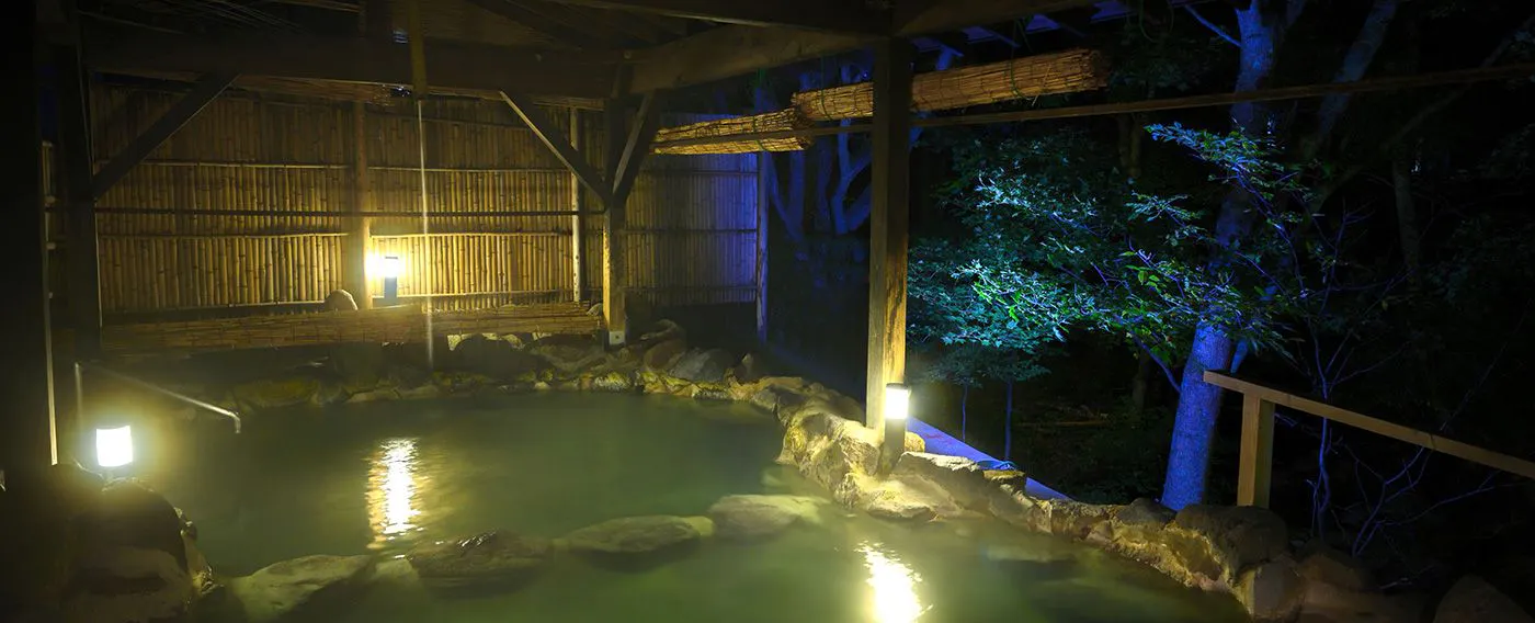 ป่าที่ให้ความผ่อนคลาย