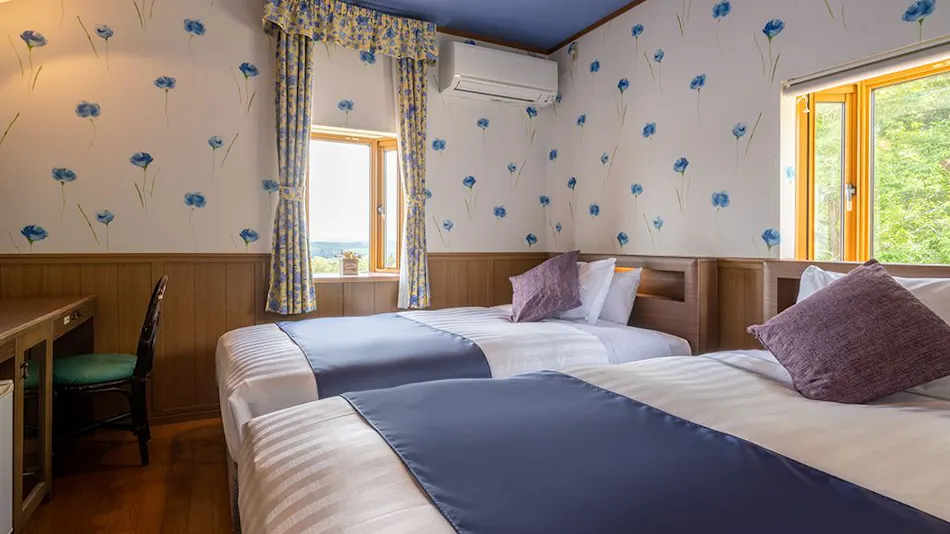 Healing Inn White Pension