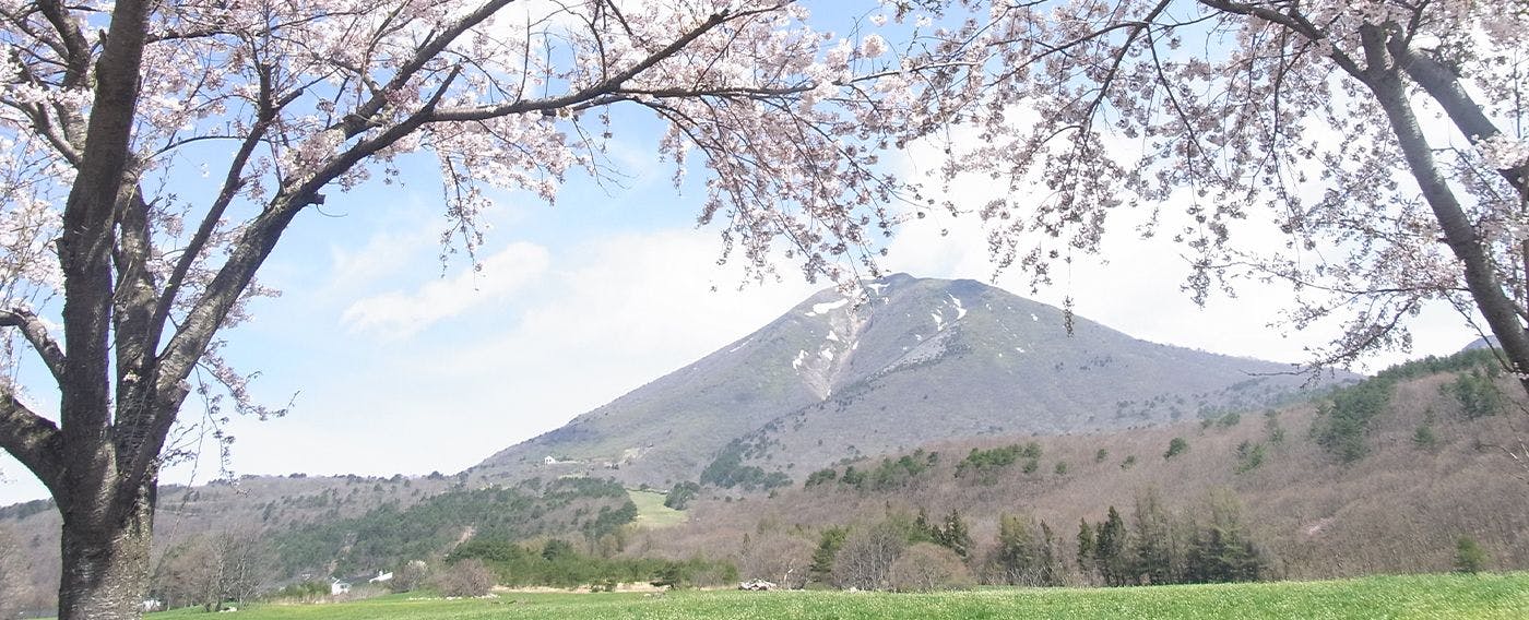 Spring Atmosphere
