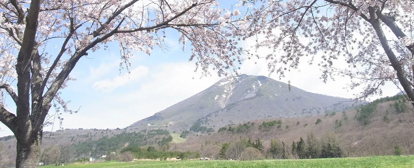 Spring Atmosphere