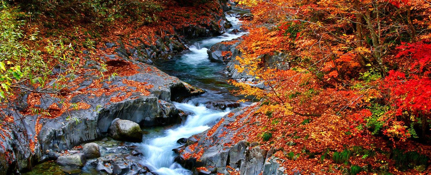 Autumn Atmosphere