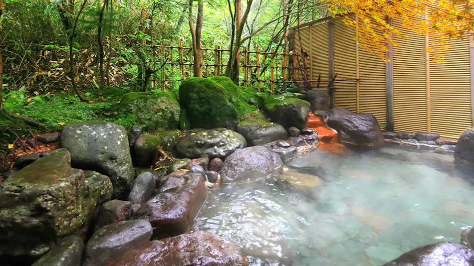 Mori no Yu Yamaseikan