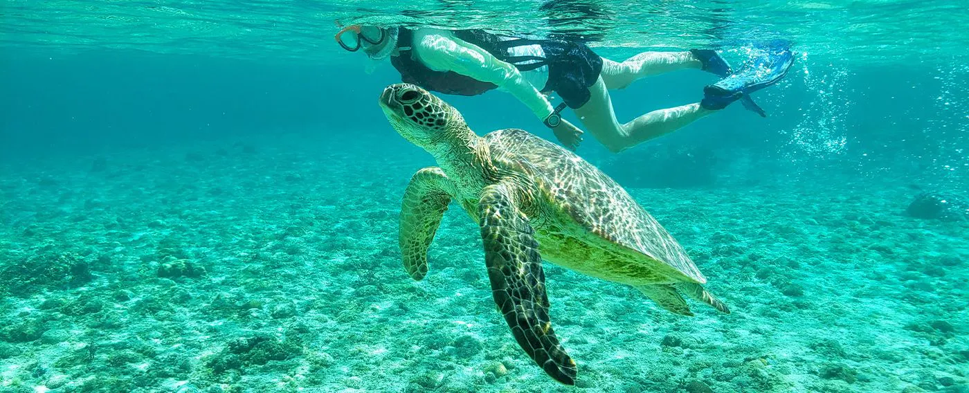 您可以透過豐富的海洋活動享受宮古藍的美麗。