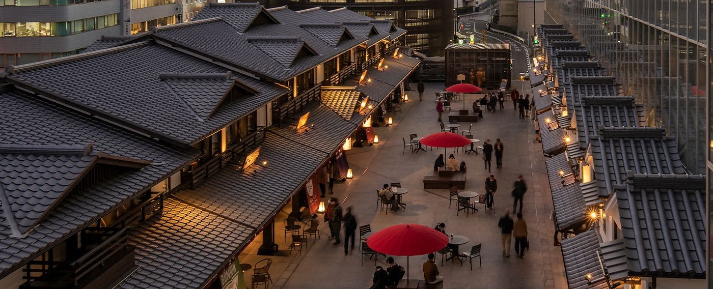 มินากะ โอดาวาระ