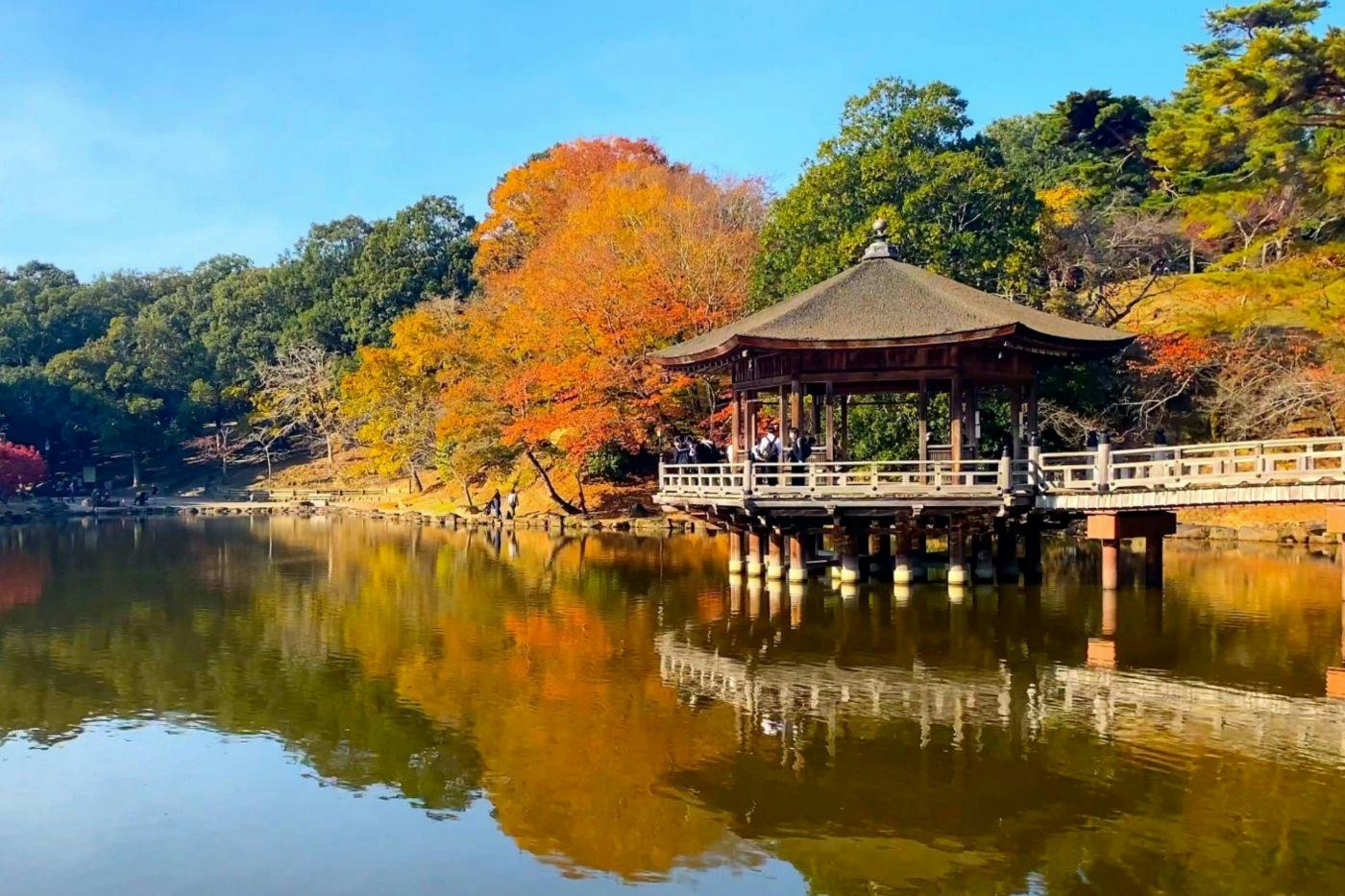주변 관광 예시