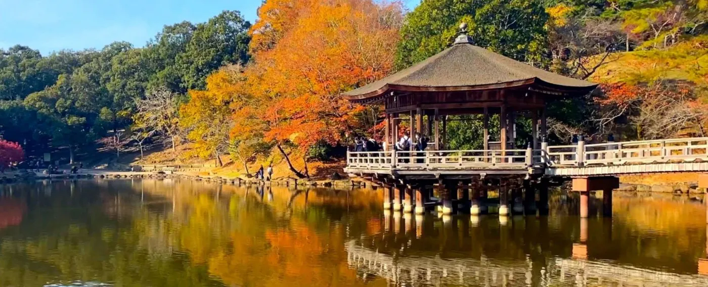 주변 관광 예시
