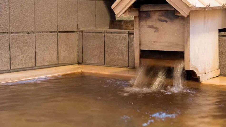 Shinhama Ryokan
