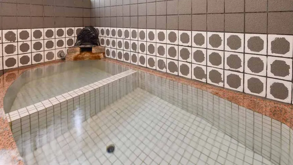 Shinhama Ryokan