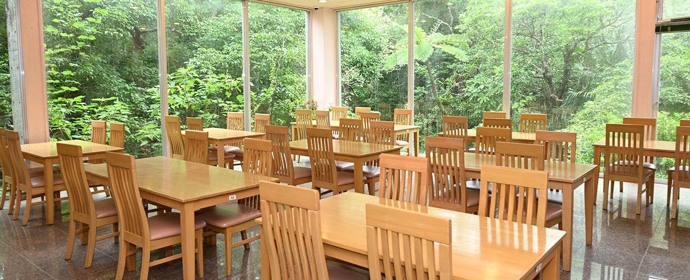 Iriomote Island Jungle Hotel Painumaya