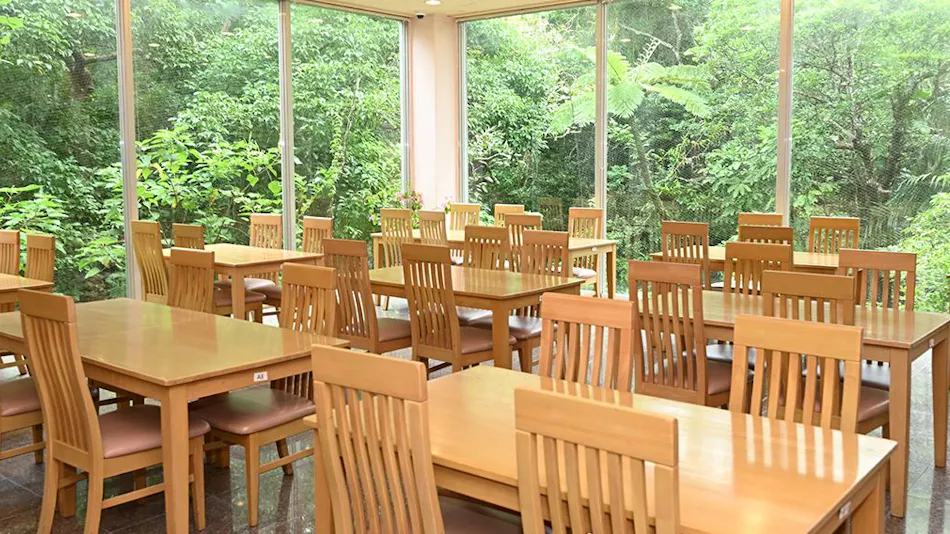 Iriomote Island Jungle Hotel Painumaya
