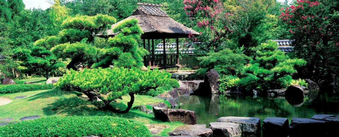 โคโคเอน