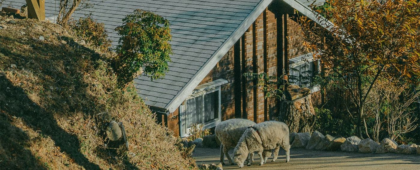Pemandangan Luar Kemudahan