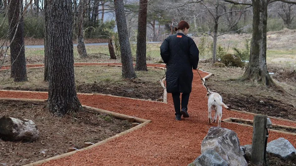 HAMIRU’S FOREST WITH DOG
