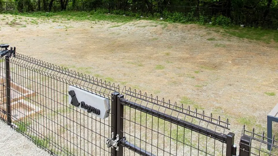 HAMIRU’S FOREST WITH DOG