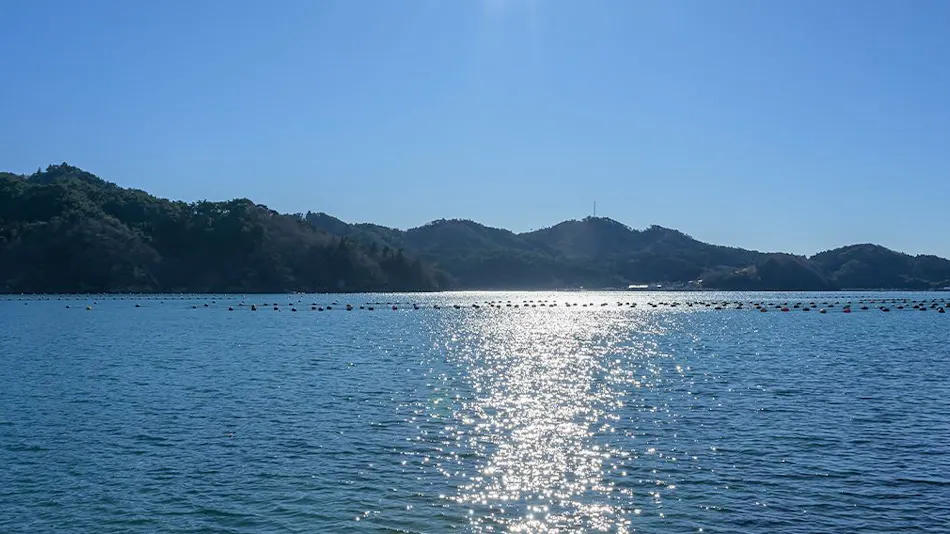 Hotel ElFaro Onagawa Trailer Village