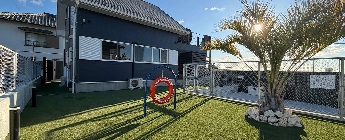 ภายนอกอาคาร ลานวิ่งสุนัข