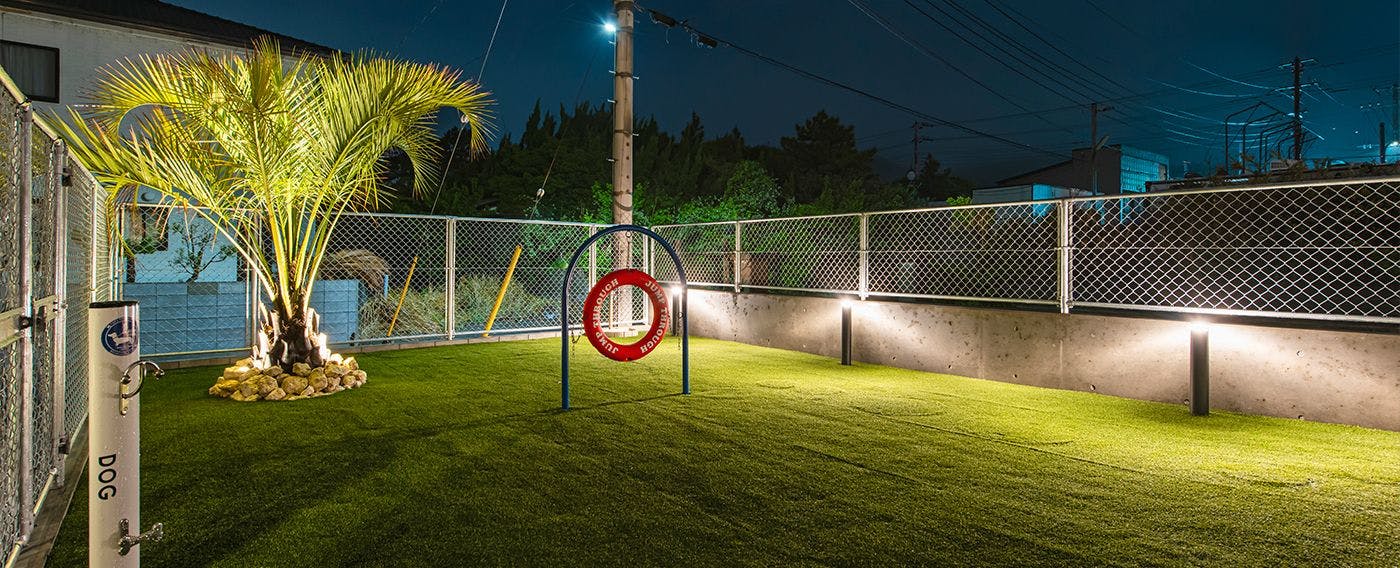 สนามวิ่งสุนัข (กลางคืน)