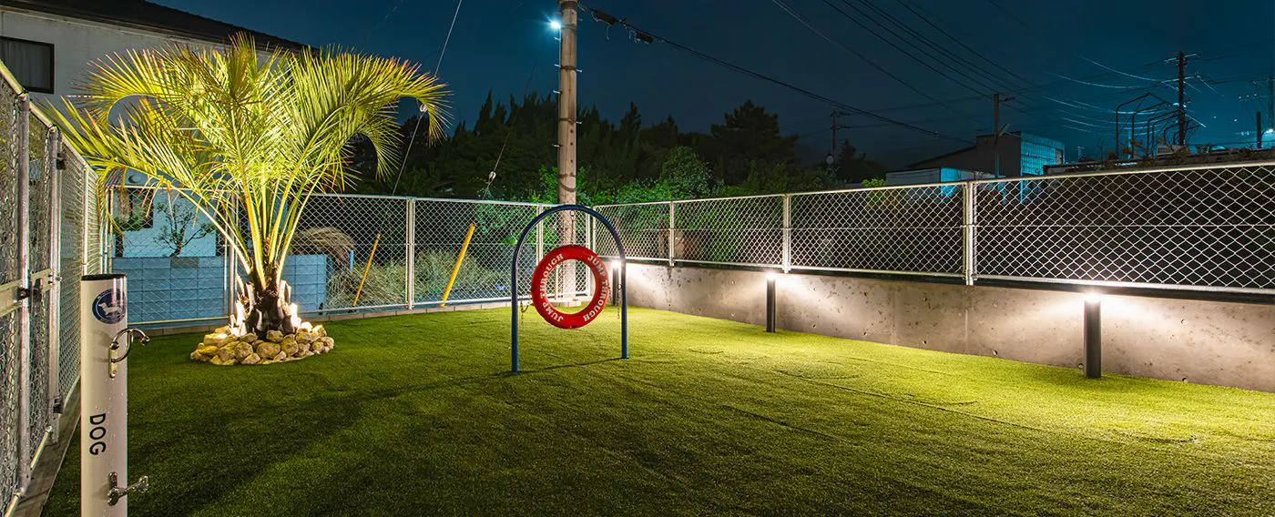 สนามวิ่งสุนัข (กลางคืน)