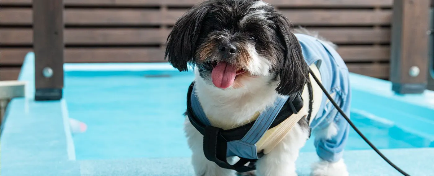 สระว่ายน้ำ