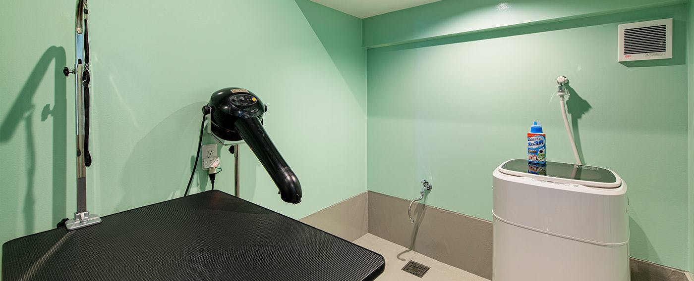 ห้องตัดแต่งขนสัตว์เลี้ยง