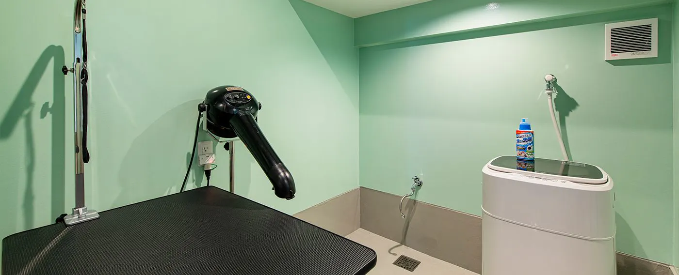 ห้องตัดแต่งขนสัตว์เลี้ยง