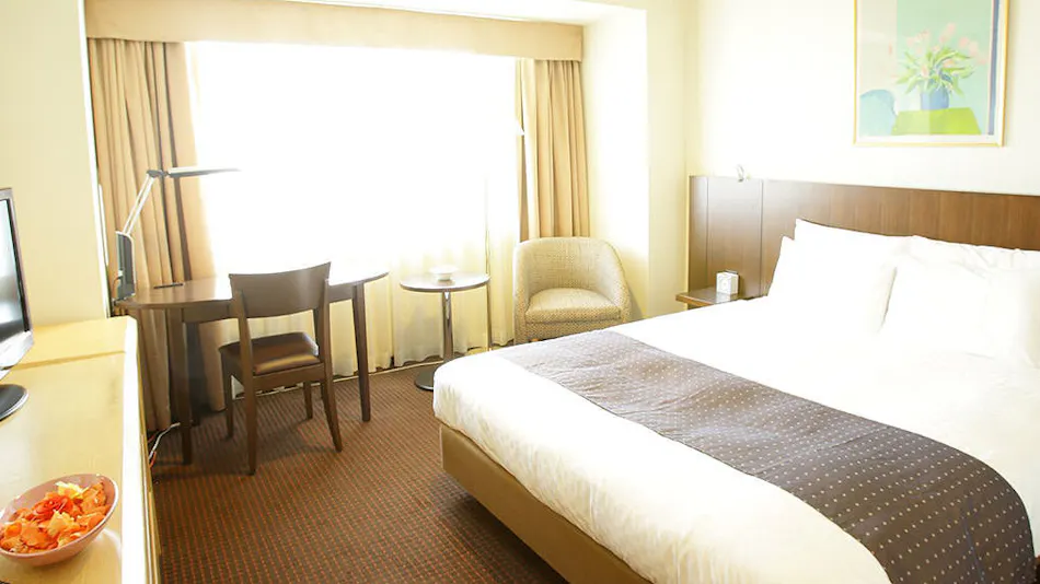 Loisir Hotel Toyohashi