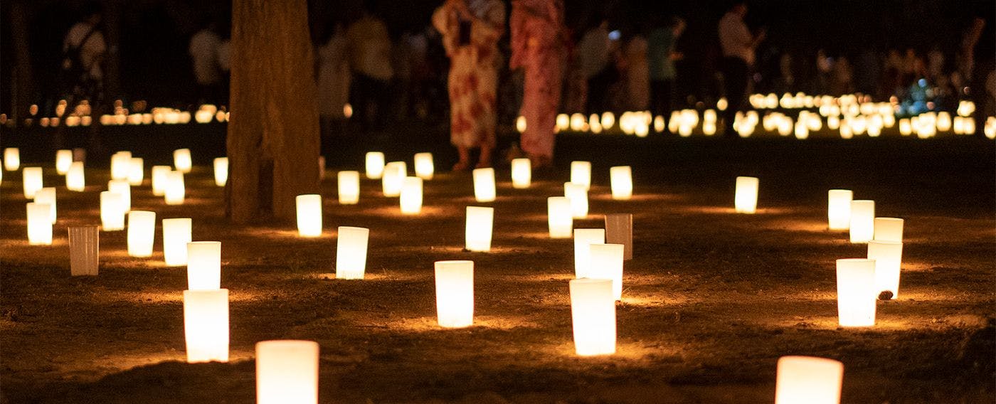 【奈良の夏】古都の夜を灯りで幻想的に彩る「なら燈火会」