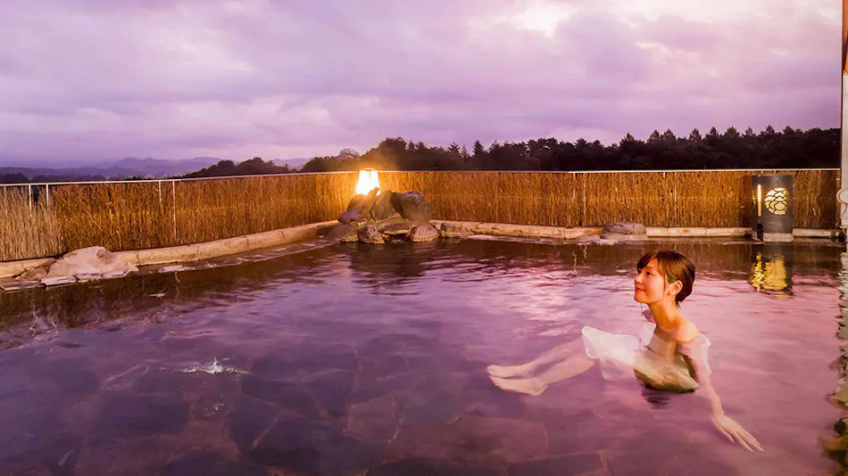 Hotel Mori no Kaze Ougon-yado