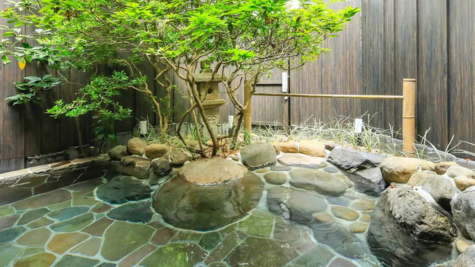 Cultural Heritage Inn Arai Ryokan
