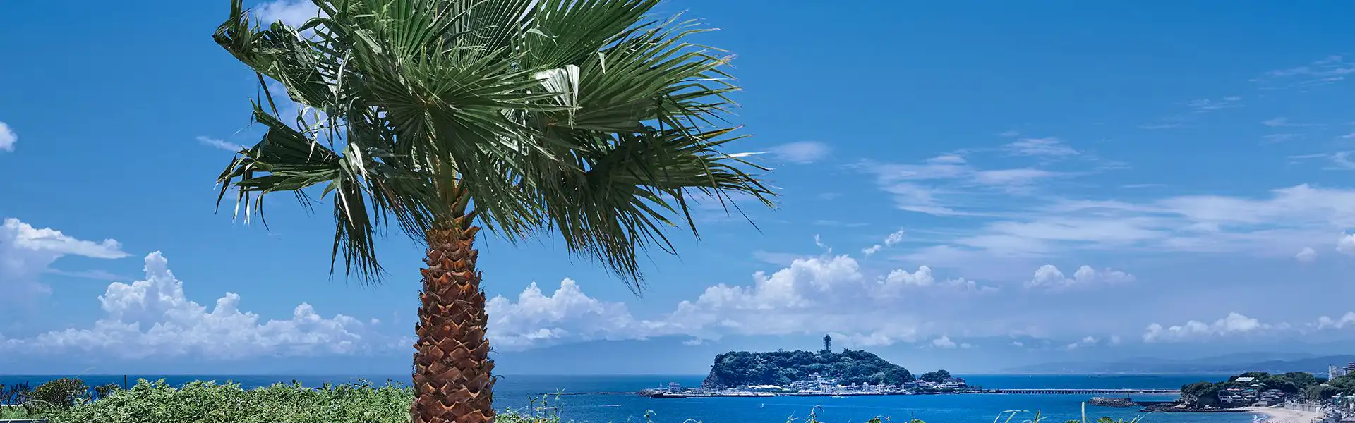 景色