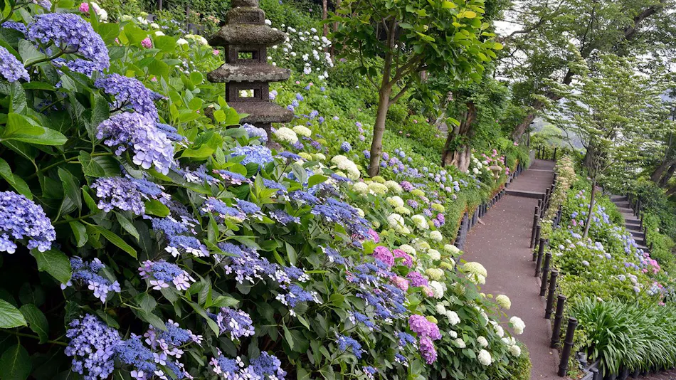 Kamakura Prince Hotel