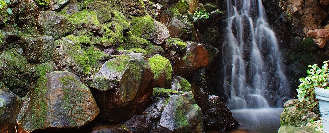 淘心庵　米屋（共立リゾート）