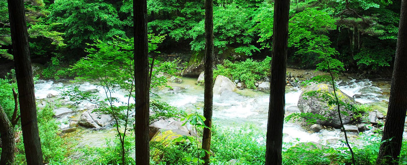 日本の宿　ひだ高山　倭乃里