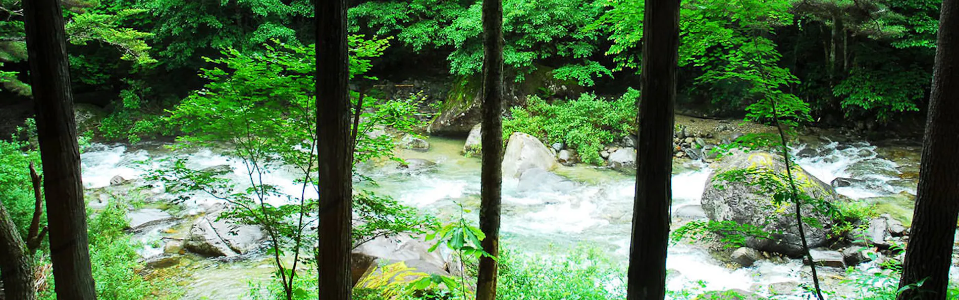 日本の宿 ひだ高山 倭乃里
